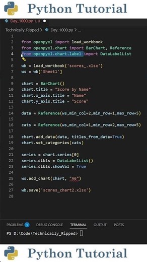 Customizing Excel Chart Data Labels With Openpyxl | Python Tutorial