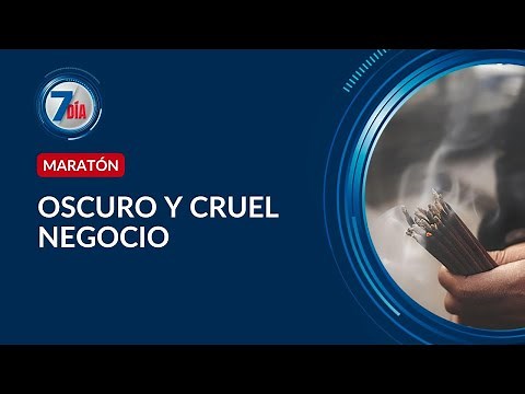 Secretos en sectas y organizaciones clandestinas: rituales, dinero y crímenes | Séptimo Día