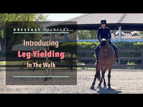 Dressage Pointers: Introducing Leg Yielding In The Walk