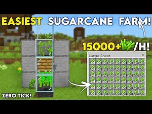EASY 26.33 SUGARCANE FARM in Minecraft Bedrock! (15000+/H!)