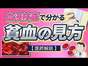 血液検査で分かる貧血の見方！【簡単】【医師解説】
