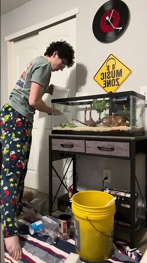 Setting up a 20 gallon long fish tank