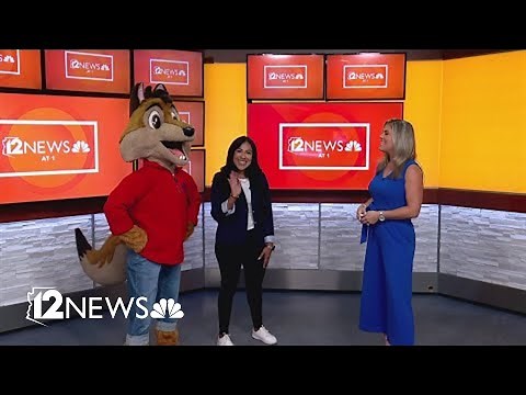 Dive into a great deal at Great Wolf Lodge