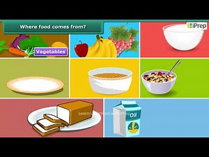 Food Miles: From Farm to Our Plate | Mindful Eating: A Path to a Healthy Body | Science | Class 6