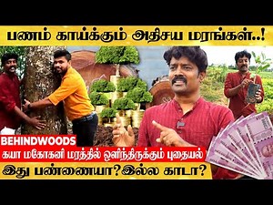 இந்த ஒரு மரம் இருந்தா வறுமையே இருக்காது..! பணத்தை கொட்டும் மரங்கள்..! - Ganesh Nursery Visit