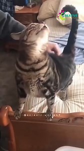 You fell asleep mid-yawn? | Creative Company