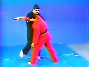 Kenpo Karate - Orange Belt