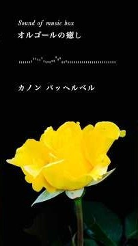 【癒しオルゴール名曲】カノン（ゆっくり・おやすみ・睡眠・瞑想）【Relaxing Music Box】Canon Pachelbel（healing Sleep & Meditation）