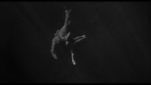 8.3K views · 391 reactions | Evening viewing recommendation? Jack...