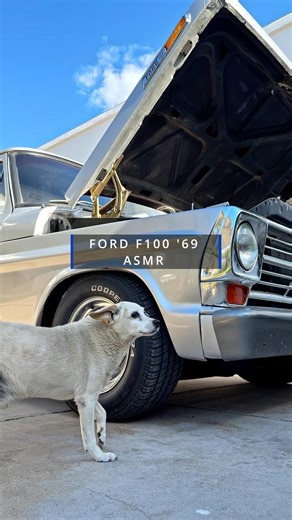 Ford f100 '69 truck #f100 #v8 #truck
