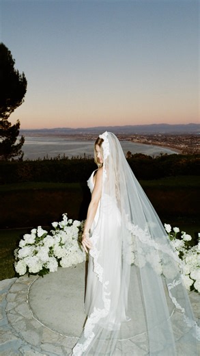 California Wedding Photographer & Filmmaker on Instagram: "Wedding party crashes out over bride and groom’s announcement. #Wedding #bride #groom"