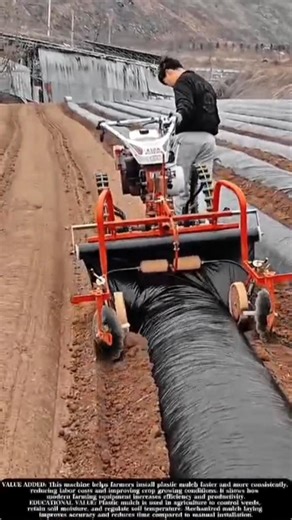 Automatic Plastic Mulch Laying Machine in Modern Farming! #shorts