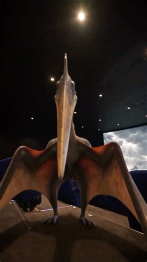 4DX theaters in 2026 are getting out of hand