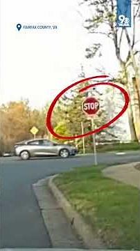 Fairfax Police video shows drivers running red lights, passing stopped school buses
