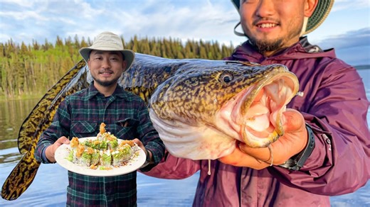 I tried burbot sushi while camping in Canada 🍣