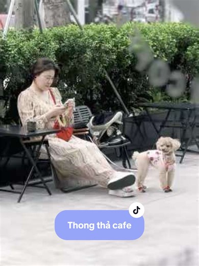 Ségo coffee - Kosmo Tây Hồ trên TikTok