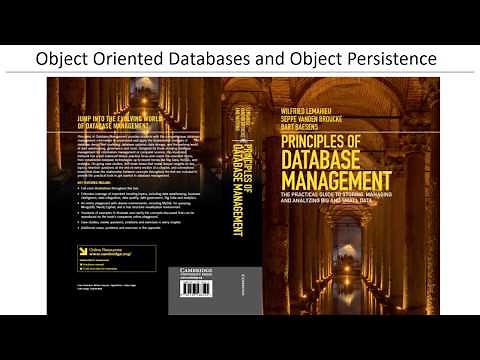 Chapter 8 Object Oriented Databases and Object Persistence