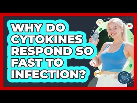Why Do Cytokines Respond So Fast To Infection? - All About the Immune System