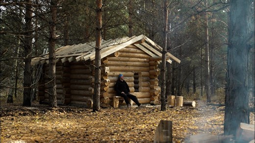 I live in a COZY ISLAND outside of civilization and I'm building a LOG CABIN ======= Full Video Comment 👇👇👇 | Jungle Survival Camping