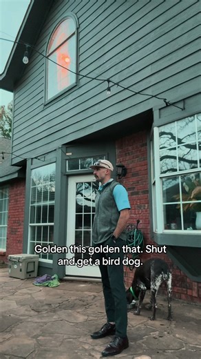 Golden This Golden That: A Joking Look at German Shorthaired Pointers