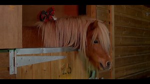 18K views · 292 reactions | The RSPCA Christmas advert is here, and it might just be our new favourite.  | Daily Record | Facebook