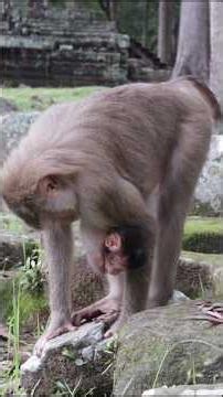 Mom Milly With Little Baby Marcel