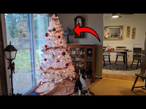 Have a White Christmas With this Beautiful Tree!