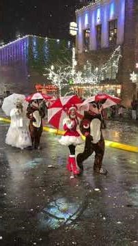 Snowflake Lane Snowfall Bellevue Washington