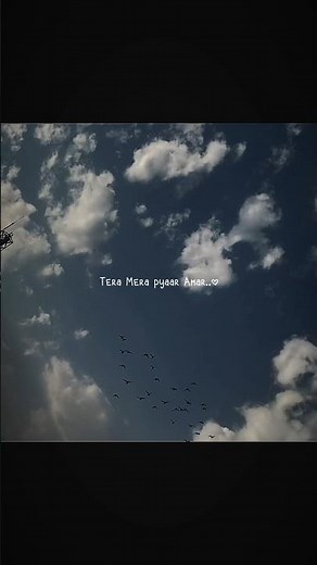 Tera Mera Pyar Amar #love #lyrics #aesthetic #hindisong #90shindisongs #latamangeshkar #oldsong