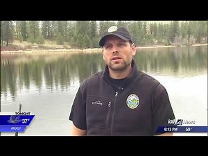 WDFW releases thousands of brown trout into West Medical Lake following fish kill