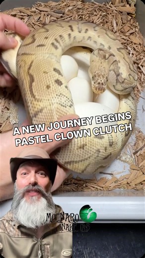 A new journey begins! Keep an eye out for daily