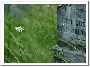 MUSIC Box ฤดูที่แตกต่าง