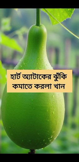 45K views · 293 reactions | স/বজির /গু"নাগুন জানুন #healthtips #tips #knowledge #viralreels #reelsviral | Natural health space | Facebook