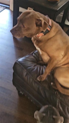 Darren Gallo on Reels