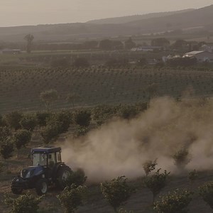 76 reactions | Take 5, possibly in nature . View from our hazelnut orchards in October. | Loacker | Facebook