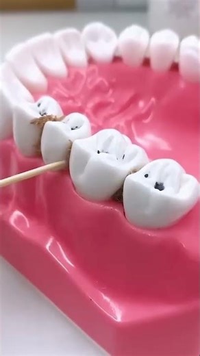 ✅ How to use floss. - Oral Breeze Dental Floss Tooth Cleaning Kit ( # 2135 )