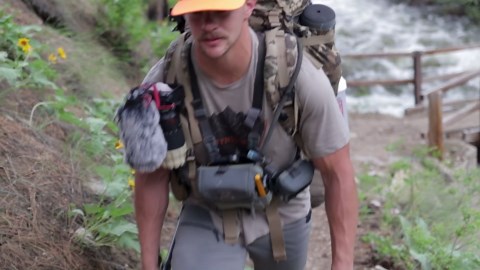 VEVOR 2 Pcs Chaise Lounge Chairs Outdoor, Aluminum Patio Lounge Chair with Adjustable 5-Position, Folding Pool Chairs Recliner and Full Flat Tanning Chair for Patio, Beach, Pool, Gray, 2 pcs