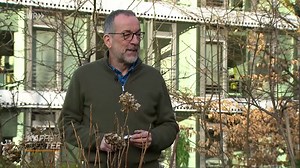 Kaffee oder Tee: Sendung vom 9. Februar 2026