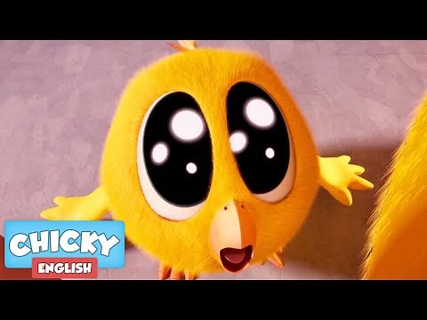 Where's Chicky? | THE CUTEST CHICKY | Chicky Cartoon in English for Kids