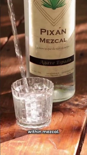 Ancestral vs Artisanal: The Wine Lovers Guide to Mezcal Categories