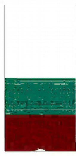 particle mixing in fluidized bed: simulated by 2D DPM
