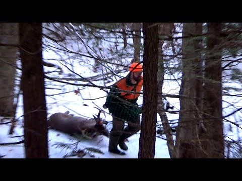 Tracking Tour 2021 Big Woods Deer Hunting