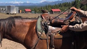 2.4K views · 65 reactions | Savvy Saddle Tip! Have you seen this clever technique?. Luc Parisis - Horsemanship - FRA shows you STEP BY STEP how to have a secure cinch with ease! | Parelli Saddles | Facebook