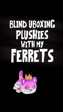 Unboxing Mystery Aphmau Plushies With My Ferrets🐾