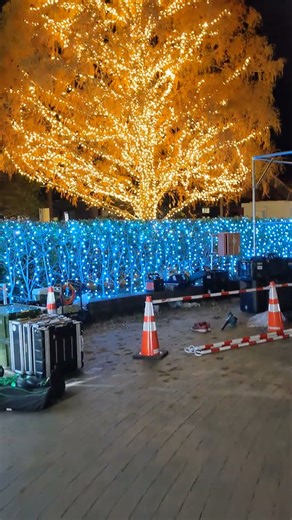 Christmas tree #japan #christmas #light