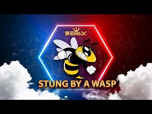 Bemax - Stung by a wasp | Tik Tok meme Remix (Full Version)