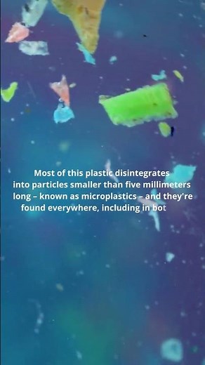 What are Microplastics?