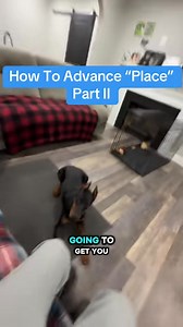 5.5K views · 58 reactions | How To Advance The Place Behavior...