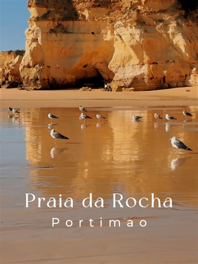 Praia da Rocha, Portimão 🐦 This beach is known for its cliffs but also for the number of seagulls. They gather here because of the wide shore, open space, and constant Atlantic winds. The beach is never really empty. #praiadarocha#portimao#algarve#portugal#beach#seagulls#birds#atlantic#nature#traveltiktok#travelvideo #fyp #praiadarocha#algarve#gaivotas#praia