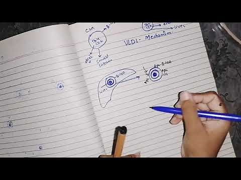 Very low density Lipoprotein metabolism #VLDL #lipoprotein #lipid_metabolism #biochemistry